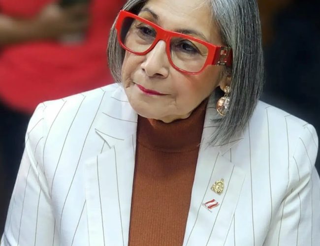 Congresswoman Maribel Espinoza cautions about jeopardizing constitutional order prior to elections