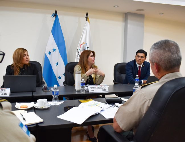 How the judiciary’s intervention in the CNE affects Honduran democratic processes