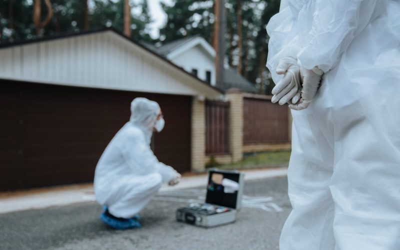 Details of the Hammer Killer case