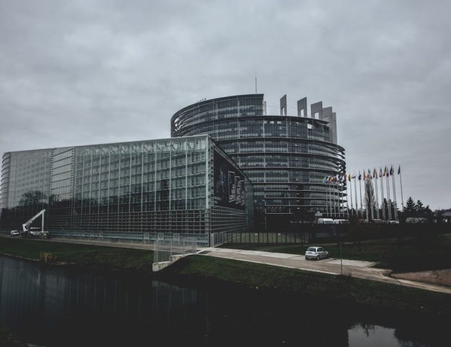 Which Organizations Address Corruption